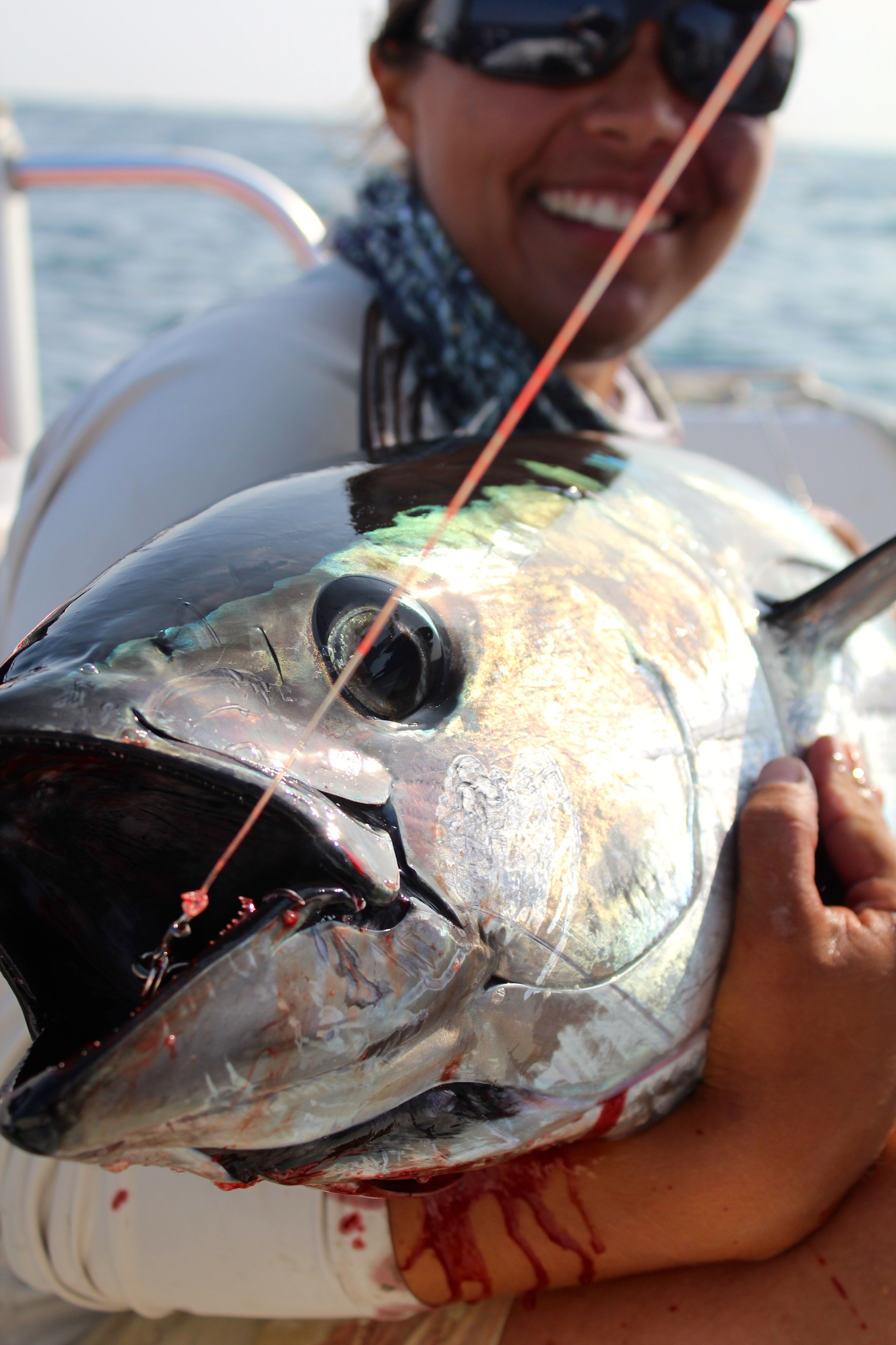 A healthy 60 pound tuna that fell for an unweighted, soft-plastic, finesse bait worked on ultra light tackle.